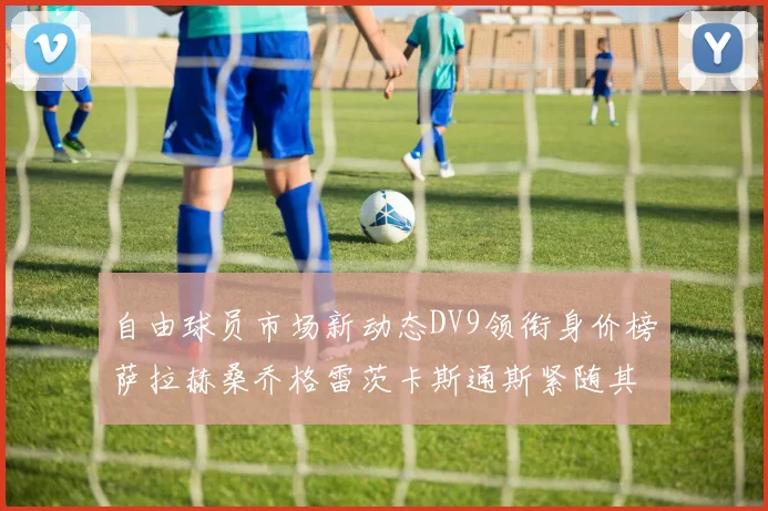 自由球员市场新动态DV9领衔身价榜萨拉赫桑乔格雷茨卡斯通斯紧随其后