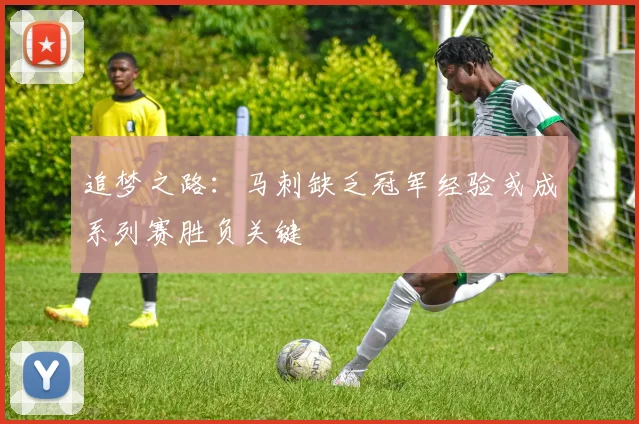 追梦之路：马刺缺乏冠军经验或成系列赛胜负关键